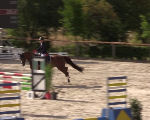 Reitturnier Monschau-Mützenich 2022