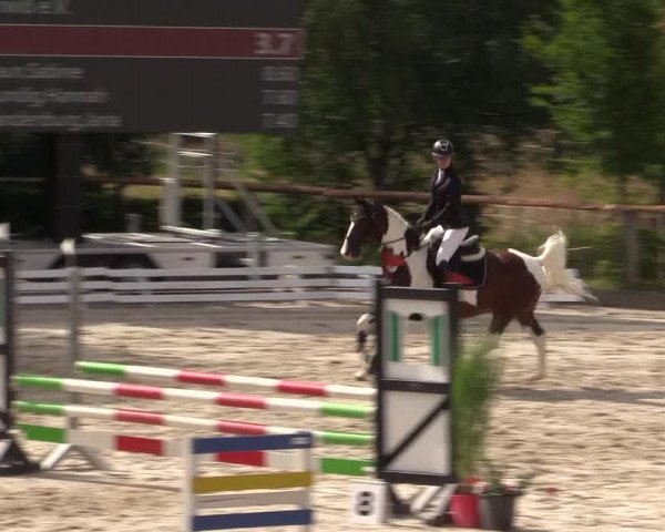 Reitturnier Monschau-Mützenich 2022