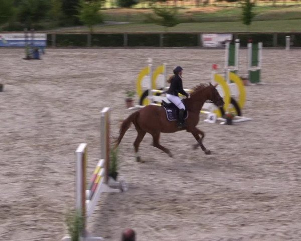 Reitturnier Monschau-Mützenich 2022