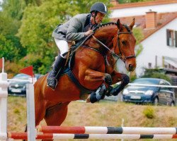 jumper Tobego (Hanoverian, 2007, from Tinka's Boy)