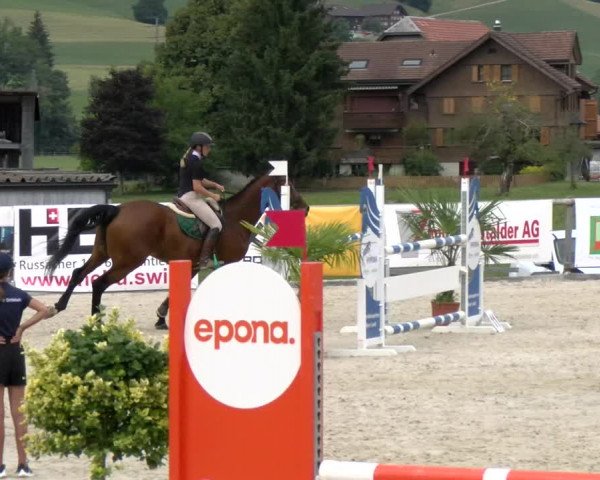 Reitturnier Schüpfheim 2022