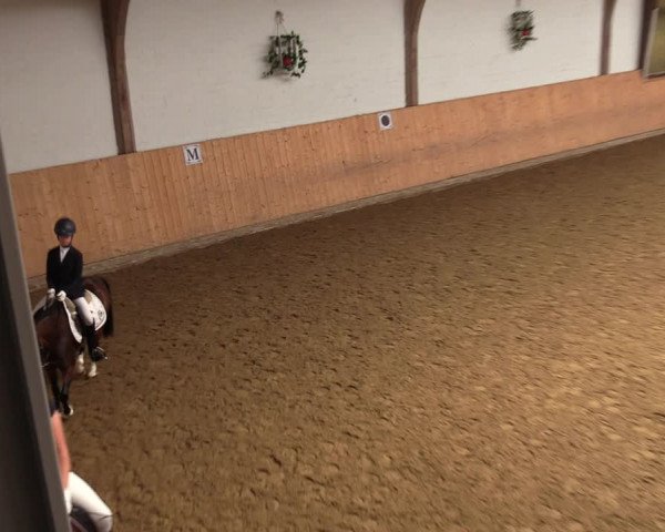 Reitturnier Olfen-Vinnum 2022