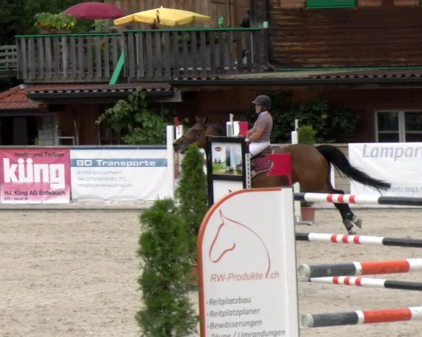 Reitturnier Schüpfheim 2022