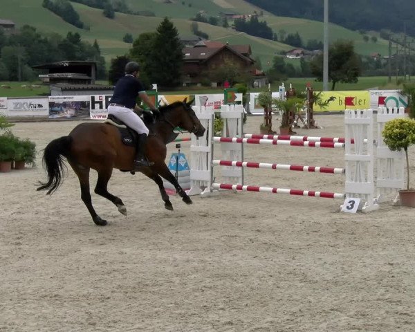 Reitturnier Schüpfheim 2022