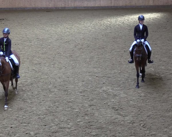 Reitturnier Olfen-Vinnum 2022