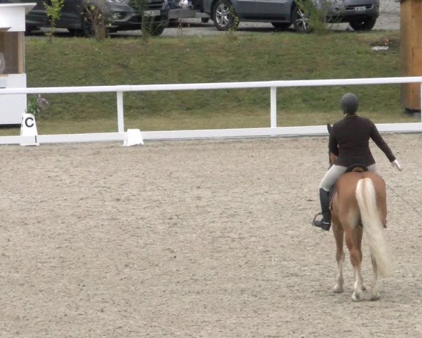 Reitturnier Bülach 2022