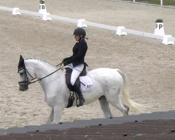 Reitturnier Bülach 2022