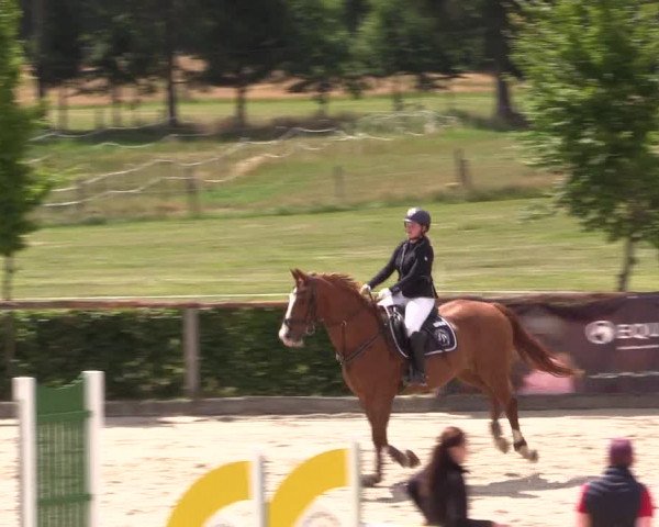 Reitturnier Monschau-Mützenich 2022
