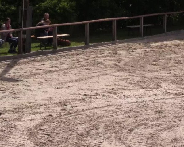 Reitturnier Monschau-Mützenich 2022