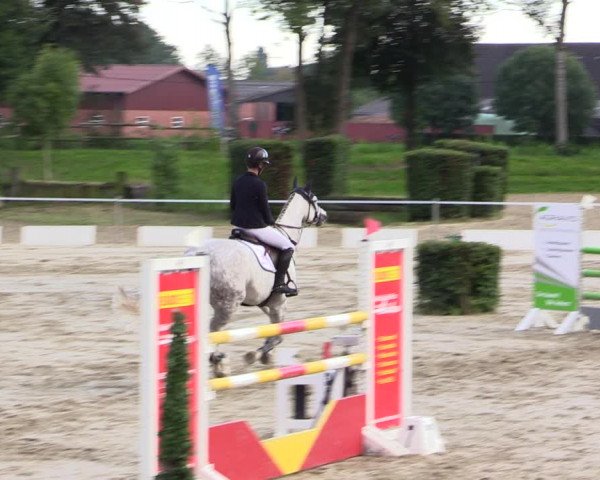 Springturnier Lüdinghausen 2021
