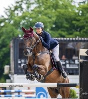 jumper Simply Fred (Hanoverian, 2012, from Stakkato)