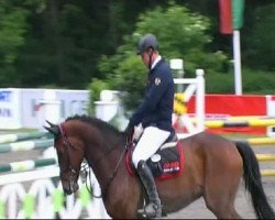 jumper Cristallo 12 (Holsteiner, 2005, from Contender)