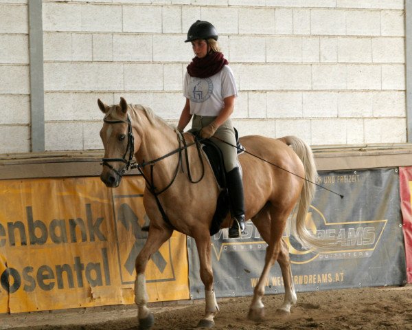 horse Dorlino-Gold (German Riding Pony, 1994, from Dornik B)