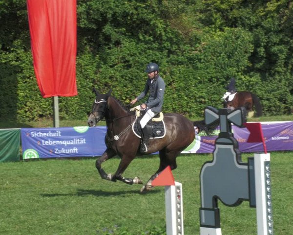 Reitturnier Nussbach 2022