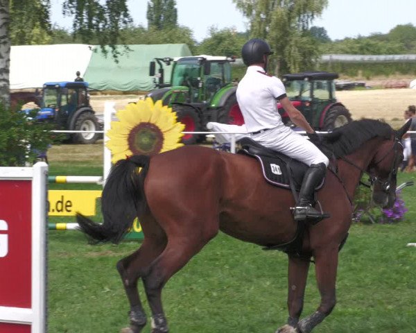 Reitturnier Nussbach 2022