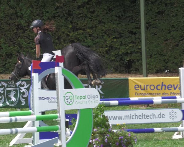 Reitturnier Nussbach 2022