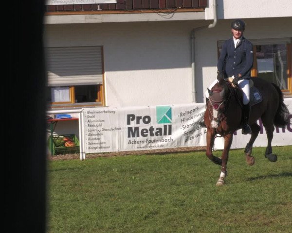 Reitturnier Nussbach 2022