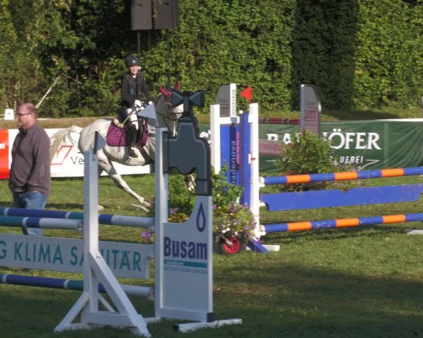 Reitturnier Nussbach 2022
