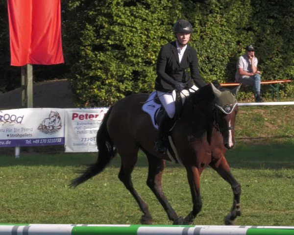 Reitturnier Nussbach 2022