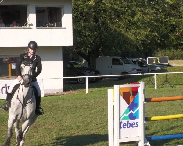 Reitturnier Nussbach 2022
