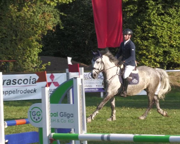 Reitturnier Nussbach 2022