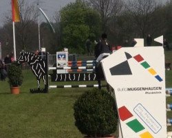 jumper Tequila 157 (KWPN (Royal Dutch Sporthorse), 2000, from Gabor)