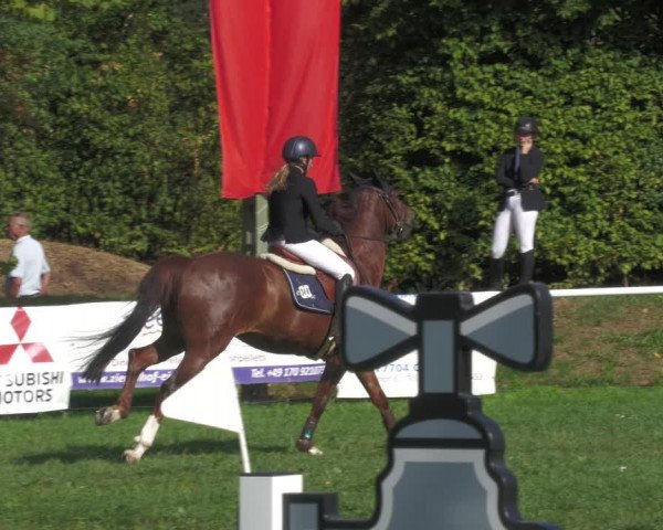 Reitturnier Nussbach 2022