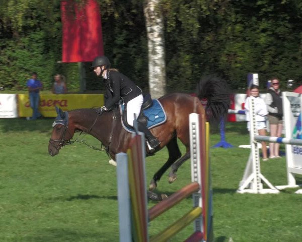 Reitturnier Nussbach 2022