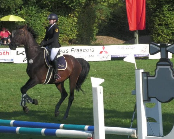 Reitturnier Nussbach 2022