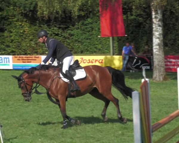 Reitturnier Nussbach 2022