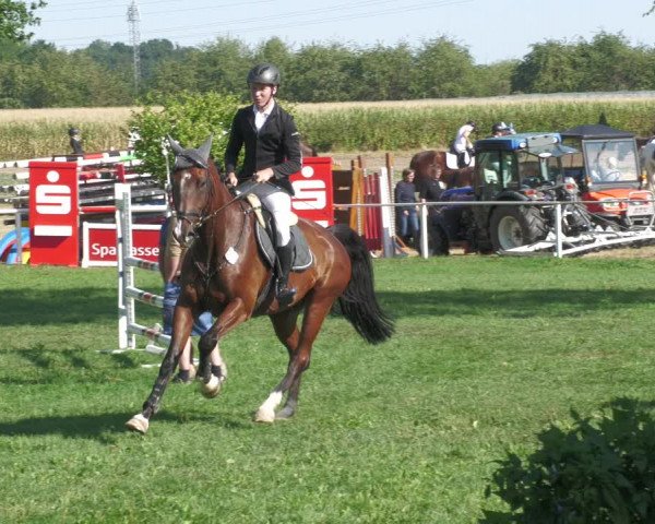 Reitturnier Nussbach 2022