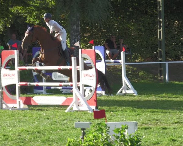 Reitturnier Nussbach 2022
