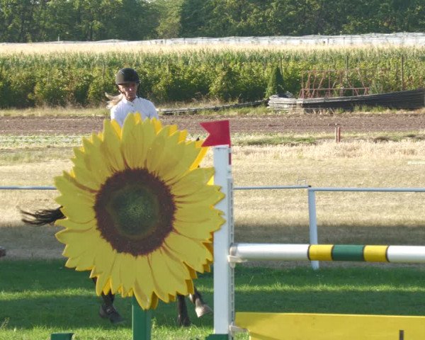 Reitturnier Nussbach 2022