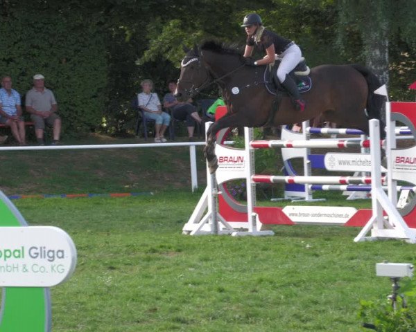 Reitturnier Nussbach 2022