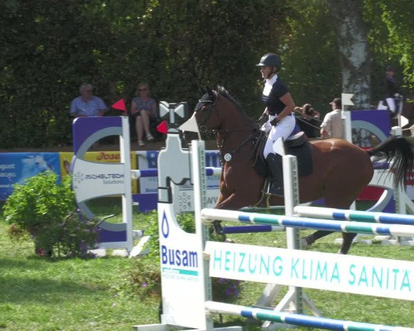Reitturnier Nussbach 2022