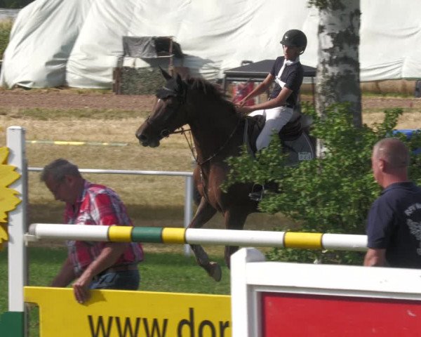 Reitturnier Nussbach 2022