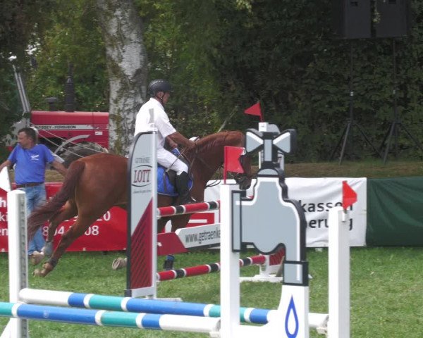 Reitturnier Nussbach 2022
