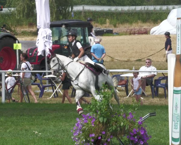 Reitturnier Nussbach 2022