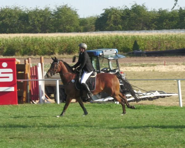 Reitturnier Nussbach 2022