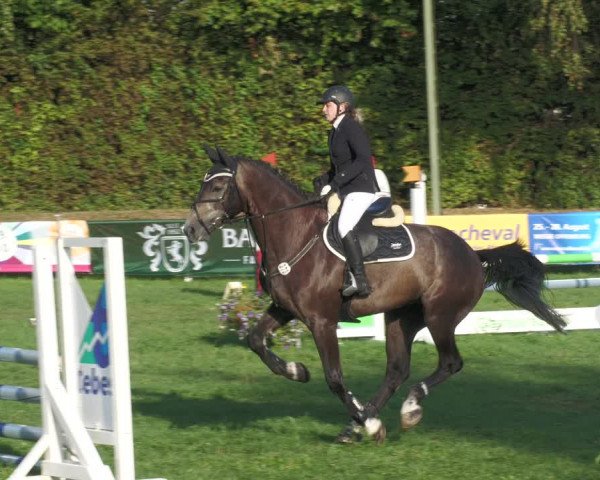 Reitturnier Nussbach 2022