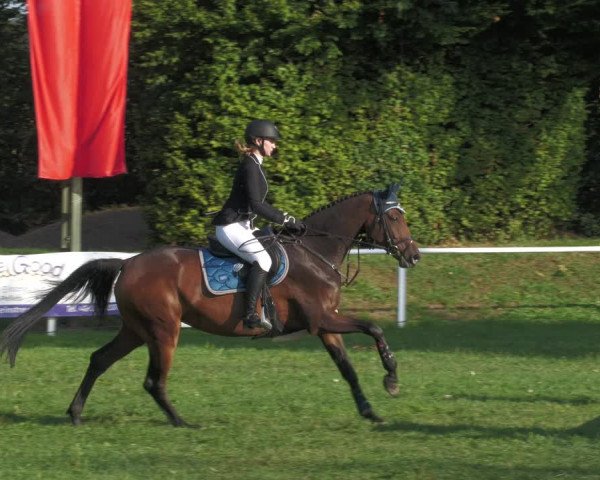 Reitturnier Nussbach 2022