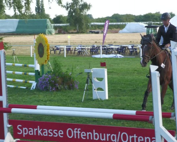 Reitturnier Nussbach 2022
