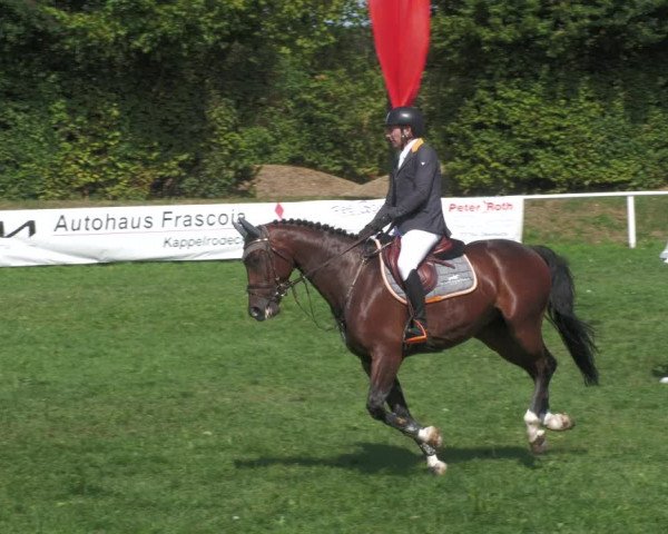 Reitturnier Nussbach 2022