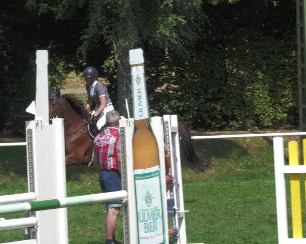 Reitturnier Nussbach 2022