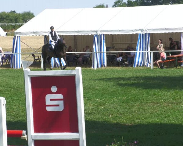 Reitturnier Nussbach 2022