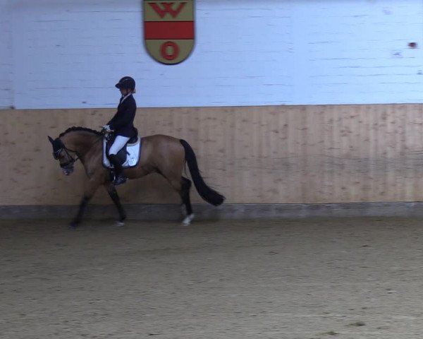Reitturnier Olfen-Vinnum 2022