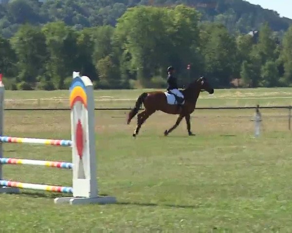 Reitturnier Bad Kissingen/Ufr. 2022
