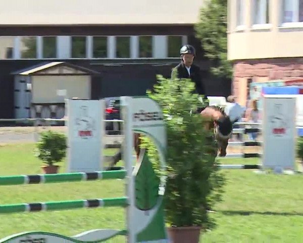 Reitturnier Bad Kissingen/Ufr. 2022