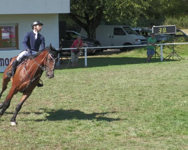 Reitturnier Nussbach 2022