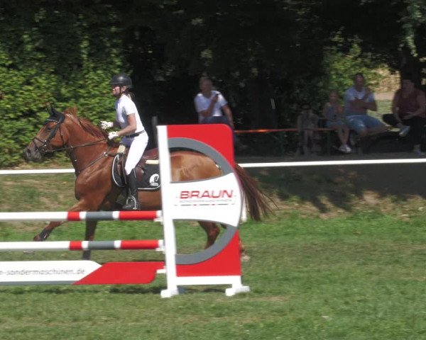 Reitturnier Nussbach 2022